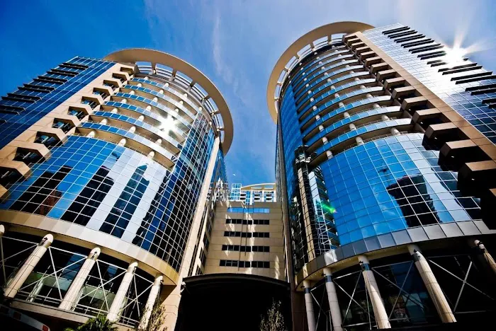 Schisani Law Firm, P.A. 6