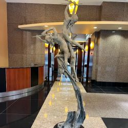 Schisani Law Firm, P.A. ico