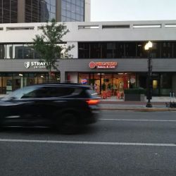 Baker Law, P.L. ico