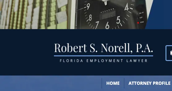 Robert S. Norell, P.A. 0