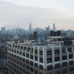MG Miller Intellectual Property Law ico
