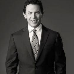 David I. Pankin, P.C. ico