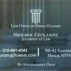 Law Office of Seema Guliani, PLLC ico