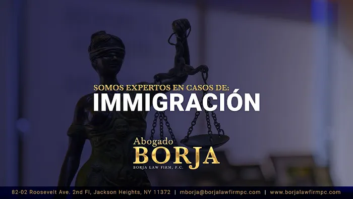 Borja Law Firm, P.C. 6