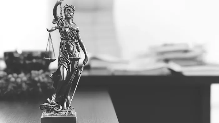 James Palumbo Attorney At Law 6