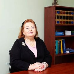 Law Offices of Marina Shepelsky, P.C. ico