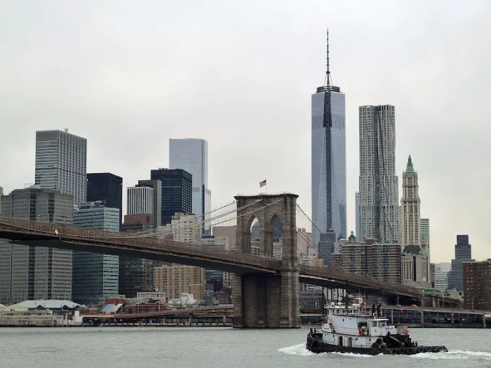 Silberstein & Miklos, P.C. | Brooklyn Medical Malpractice Injury Attorneys 5