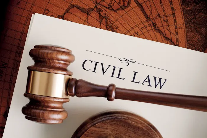 Panov Law PLLC 1