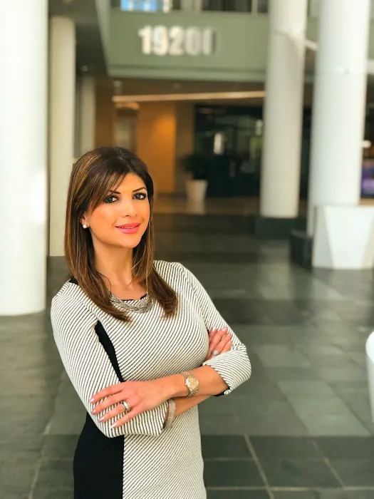 Law Offices of Shadi Sheidayi 1
