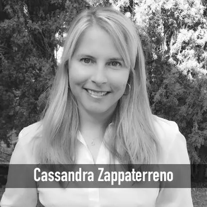 Hogan Zappaterreno, LLP 3