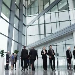 Criminal Lawyer Tony M. Seyfi Los Angeles ico