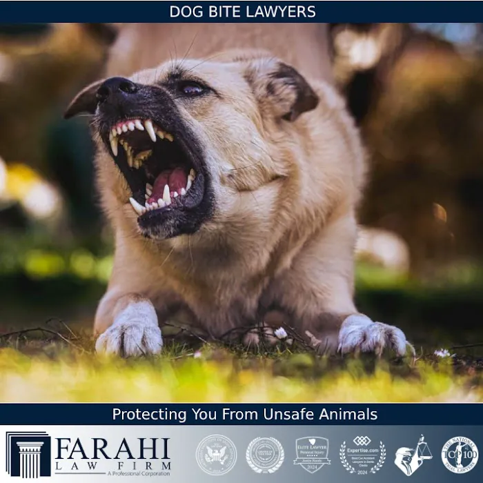 Farahi Law Firm, APC 7