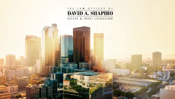 David A. Shapiro, P.C. 1