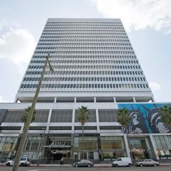 Levine & Blit LLP ico