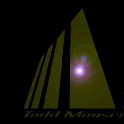 Todd Mouser Law ico
