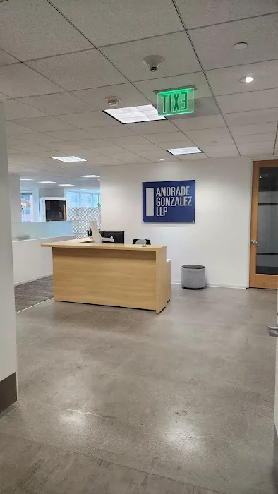 Andrade Gonzalez LLP 1