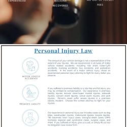 Nalbandyan Law Firm, PC ico