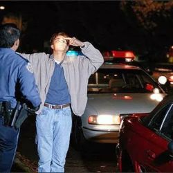 The Los Angeles DUI Experts ico