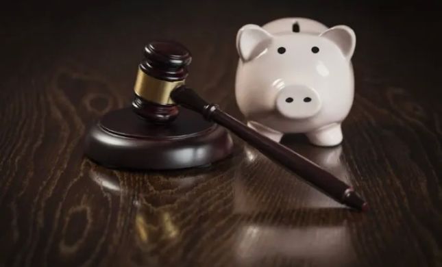 Financial Recovery Law