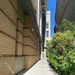 California Criminal Defense Center / 800 D.U.I. KING ico