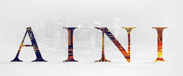 Aini & Associates PLLC 6