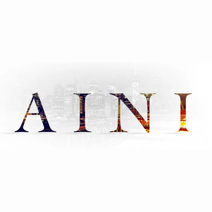 Aini & Associates PLLC 7