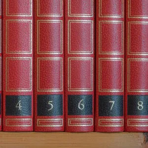 Lipsig, Shapey, Manus & Moverman, P.C. 3