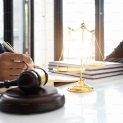Law Offices of Lisa Michael & Associates, PC ico