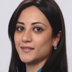 Law Offices of Irina Yadgarova PLLC ico