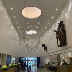 Chan Law Firm ico