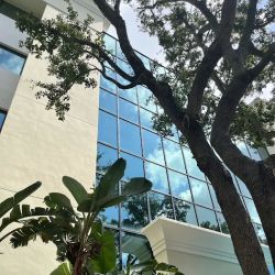 Schulman Law Group ico