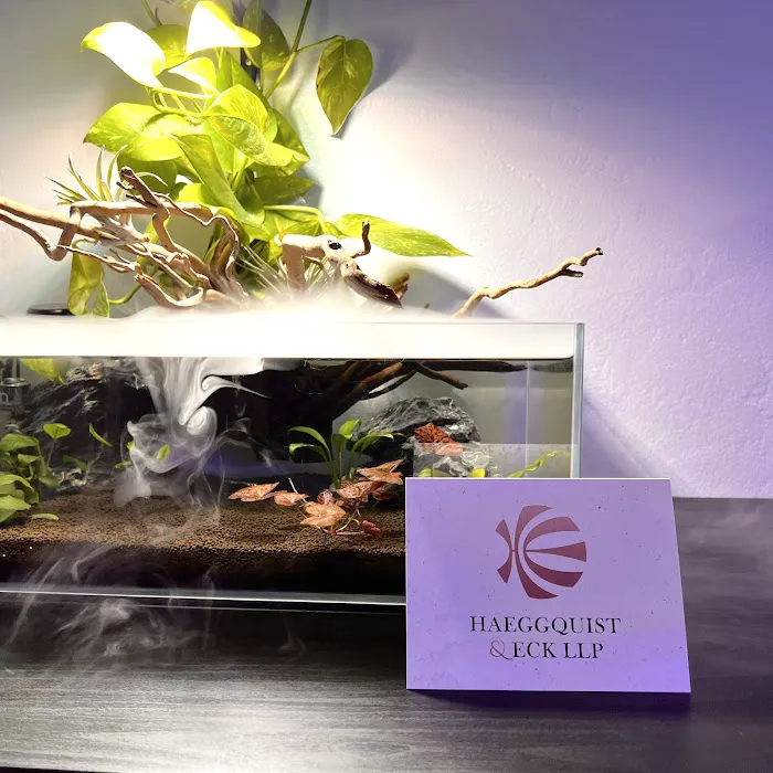 Haeggquist & Eck, LLP 3