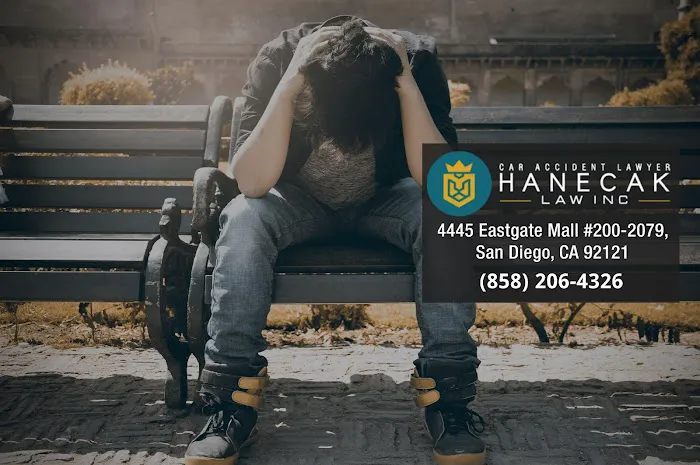 Hanecak Law Inc 7