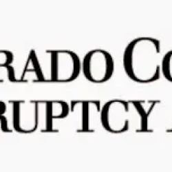 The Law Office of Clark Daniel Dray ico