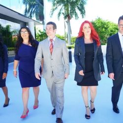 Shamy, El Fadel, & Mahone Law Group ico
