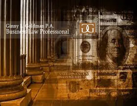 The Law Office of Ginny L Goldman P.A. 0