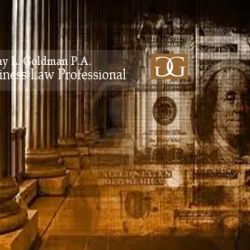 The Law Office of Ginny L Goldman P.A. ico
