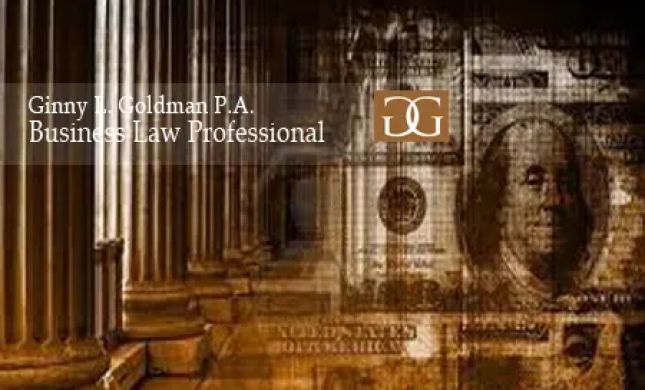 The Law Office of Ginny L Goldman P.A.