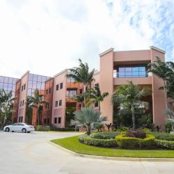 The Grife Law Firm, Car Accident and Medical Malpractice Lawyers ico