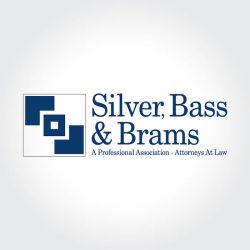 Silver, Bass & Brams ico