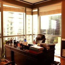 The Ladan Law Firm, P.A. ico
