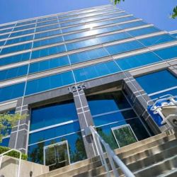The Atashi Rang Law Firm PC ico