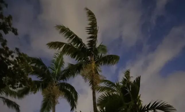 Sandra Bonfiglio, P.A. - Fort Lauderdale Divorce Attorney