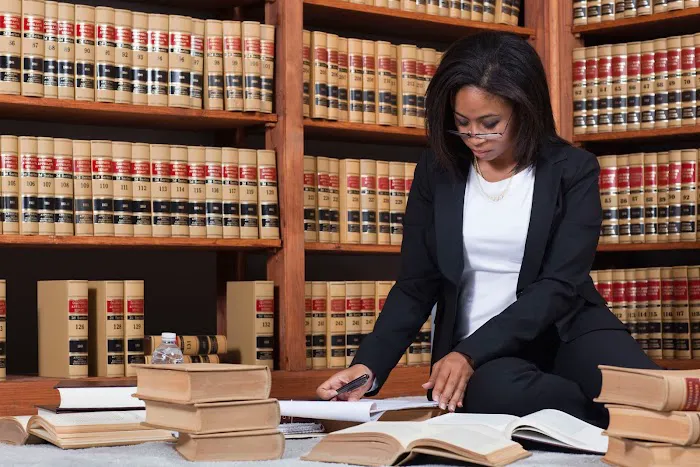 Civil Court Attorney 8