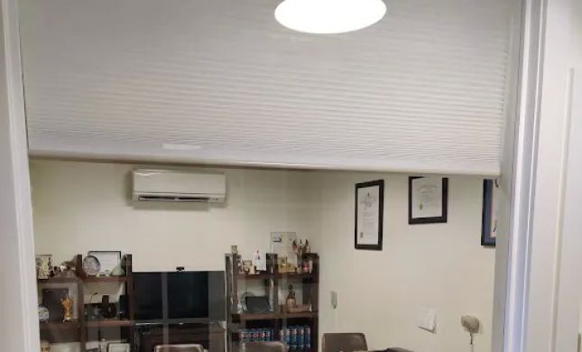 Law Offices of Irina A. Olevsky, PC