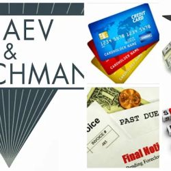 Fleischman Consumer Law Center ico