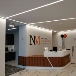 Norris McLaughlin ico
