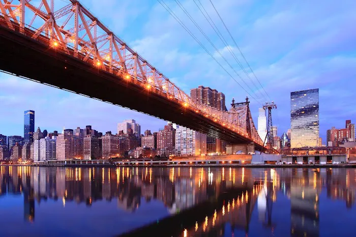 NY Elder Law Group 2