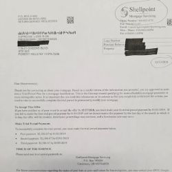 Poltielov & Habib, LLP ico