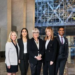 COHEN STINE KAPOOR LLP - Matrimonial & Family Law Firm ico